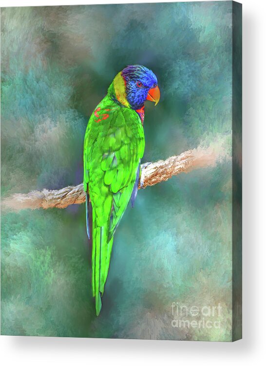 Bird Acrylic Print featuring the mixed media Parrot Bird 80 by Lucie Dumas