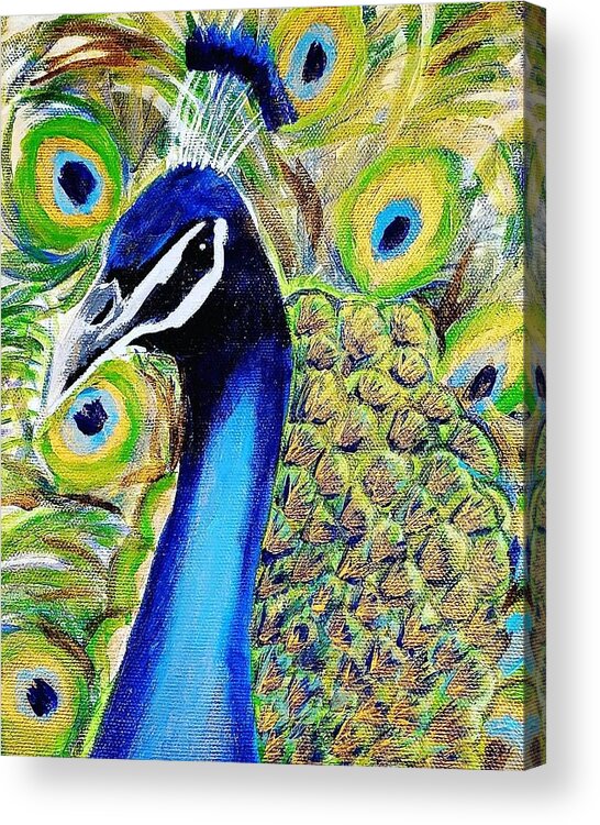 Peacock Acrylic Print featuring the painting Peacock by Amy Kuenzie