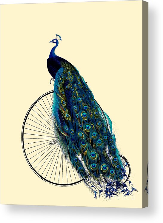 Regal Acrylic Print featuring the digital art Peacock On A Bicycle, Home Decor by Madame Memento