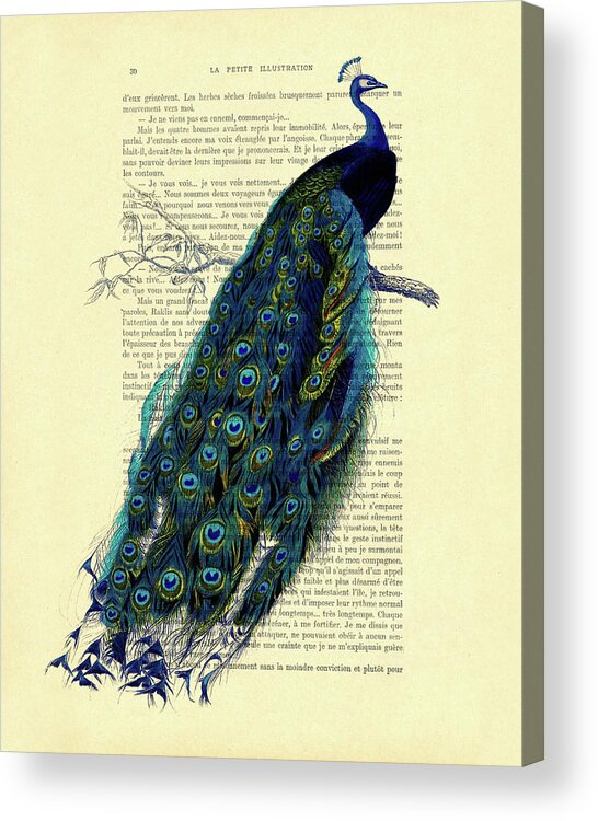 Peacock Acrylic Print featuring the mixed media Peacock on branch by Madame Memento