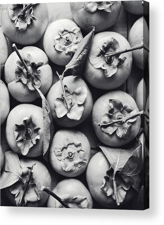 Persimmon Acrylic Print featuring the photograph Persimmon Harvest by Lupen Grainne