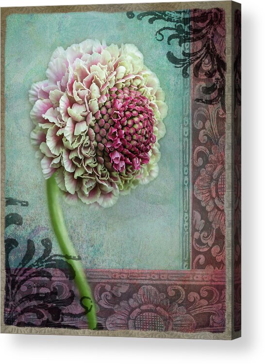 Fine Art Acrylic Print featuring the photograph Pincushion Collage-Right by Shara Abel