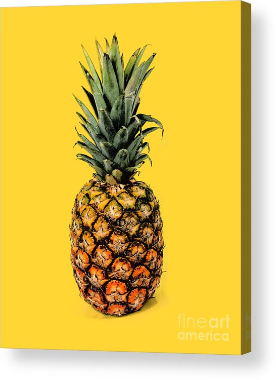 Pineapple Acrylic Print featuring the digital art Pineapple fruit by Madame Memento