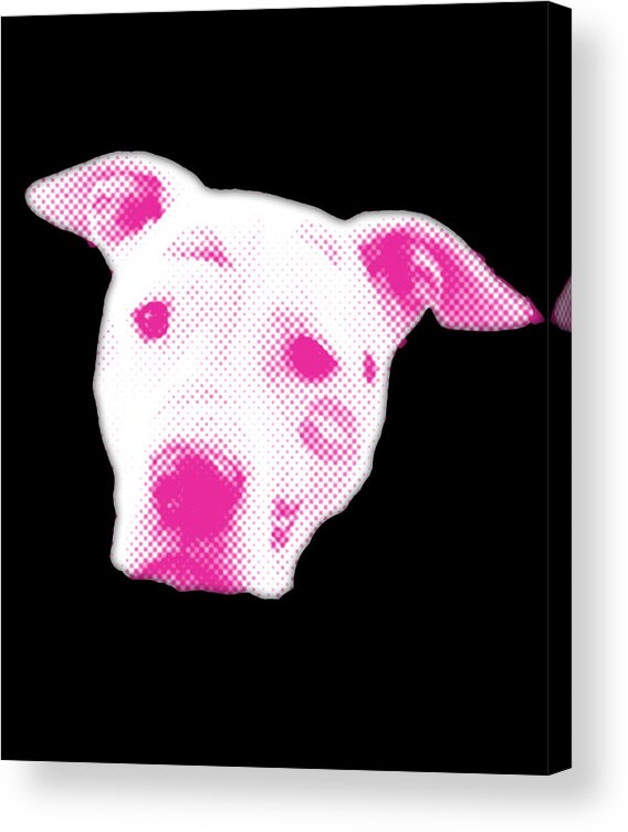 Funny Acrylic Print featuring the digital art Pink Pitbull Head by Flippin Sweet Gear