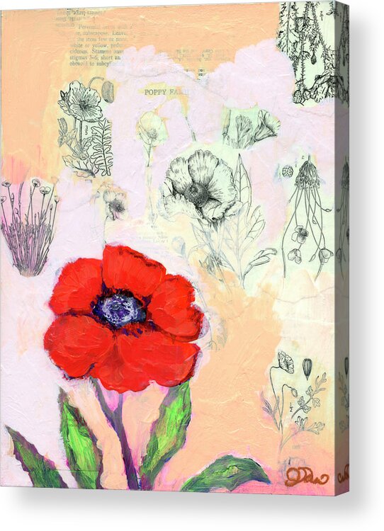 Poppy Acrylic Print featuring the painting Poppy Family by Jennifer Lommers