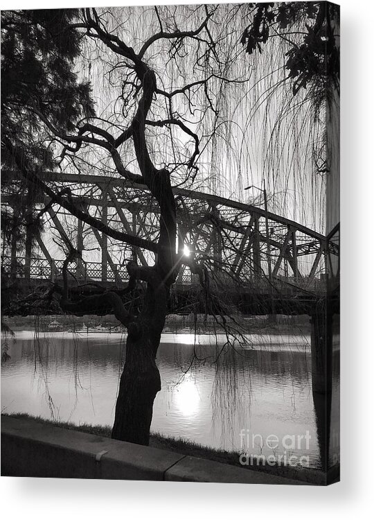 Portland Acrylic Print featuring the photograph Portland by Charlene Mitchell