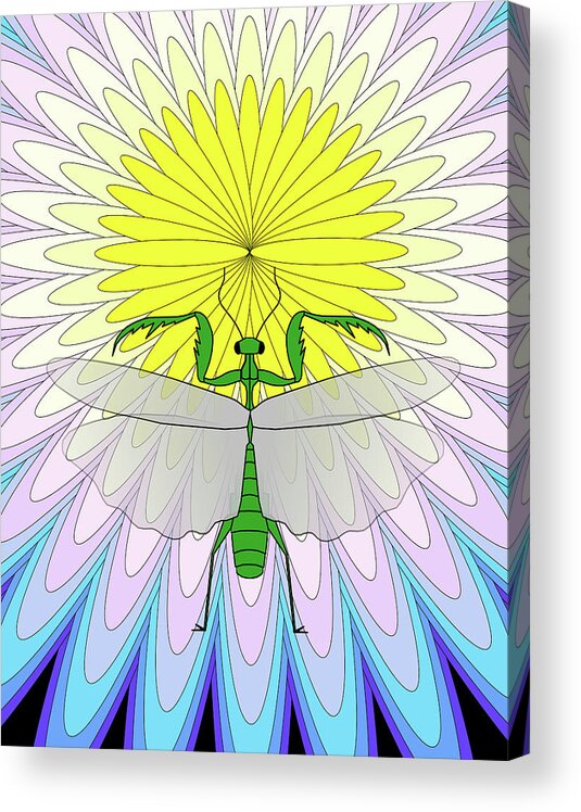 Praying Mantis Acrylic Print featuring the digital art Praying Mantis by Teresamarie Yawn