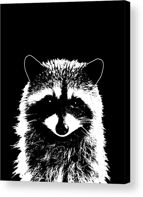 Raccoon Acrylic Print featuring the mixed media Raccoon 25 Black and white by Lucie Dumas
