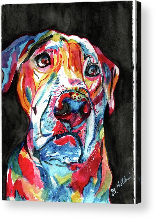 Dog Acrylic Print featuring the painting Rainbow by Genevieve Holland