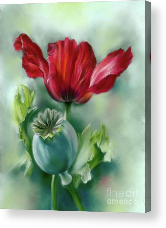 Botanical Acrylic Print featuring the painting Red Poppy and Seed Pod by MM Anderson