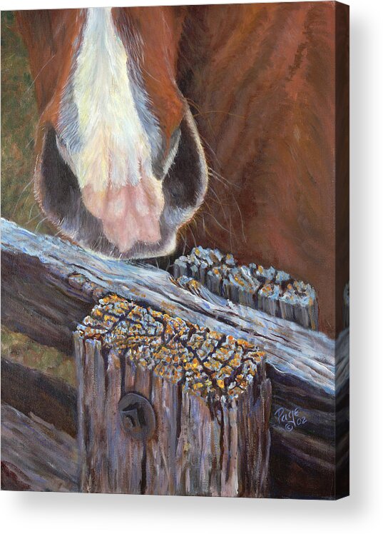 Horse Acrylic Print featuring the painting Rhoda Knows by Page Holland