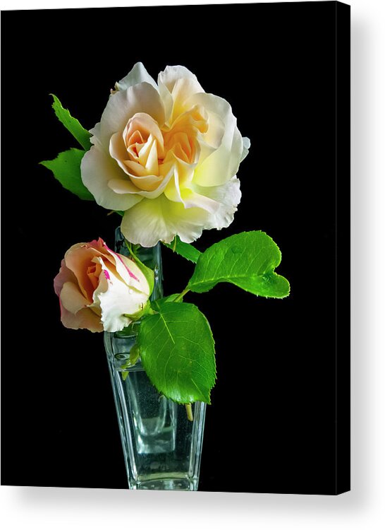 Roses Acrylic Print featuring the photograph Roses by Cathy Kovarik