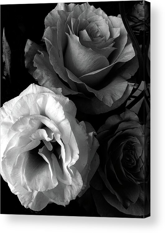 Roses Acrylic Print featuring the photograph Roses in Black and White by Lorraine Devon Wilke