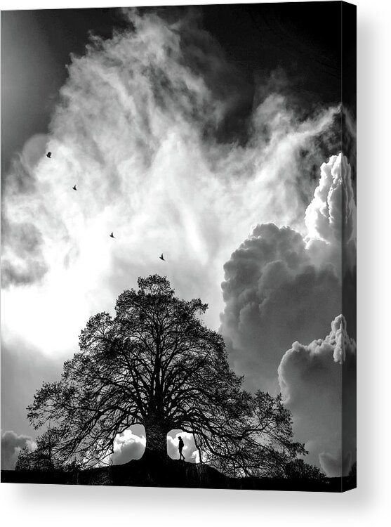 Fine Art Acrylic Print featuring the photograph Sheltering Sky by Sofie Conte