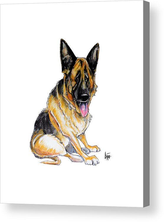 Dog Acrylic Print featuring the drawing Sitting German Shepherd by John LaFree
