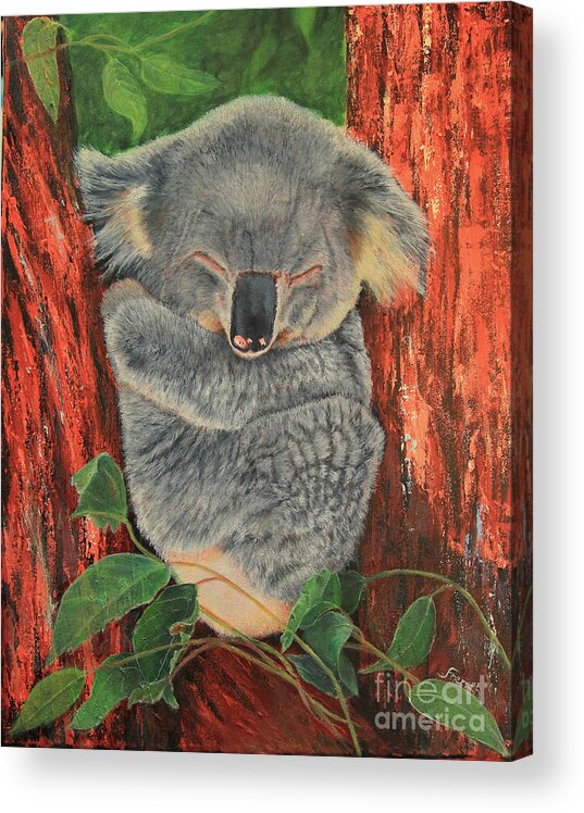 Koala Acrylic Print featuring the painting Sleeping Koala by Jeanette French