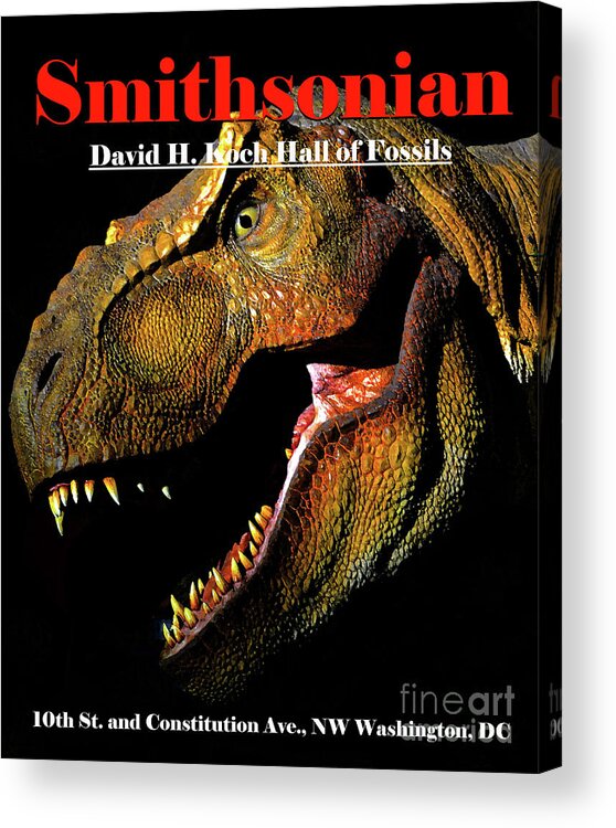 Smithsonian National Museum Of Natural History Acrylic Print featuring the mixed media Smithsonian T Rex hall of fossils by David Lee Thompson