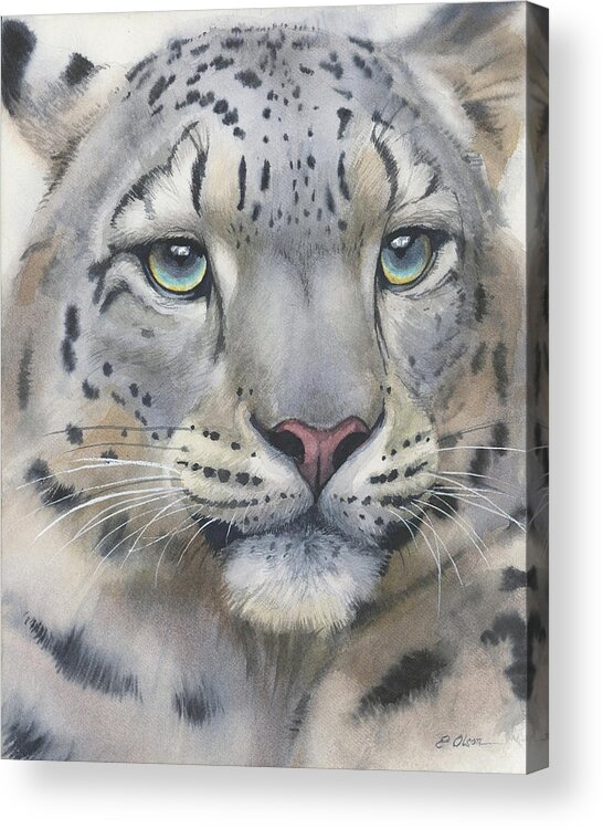 Snow Leopard Acrylic Print featuring the painting Snow Leopard by Emily Olson