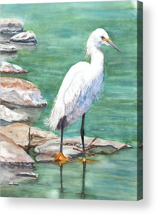 Beautiful White Bird In Colorado Acrylic Print featuring the painting Snowy Egret by Martha Lancaster