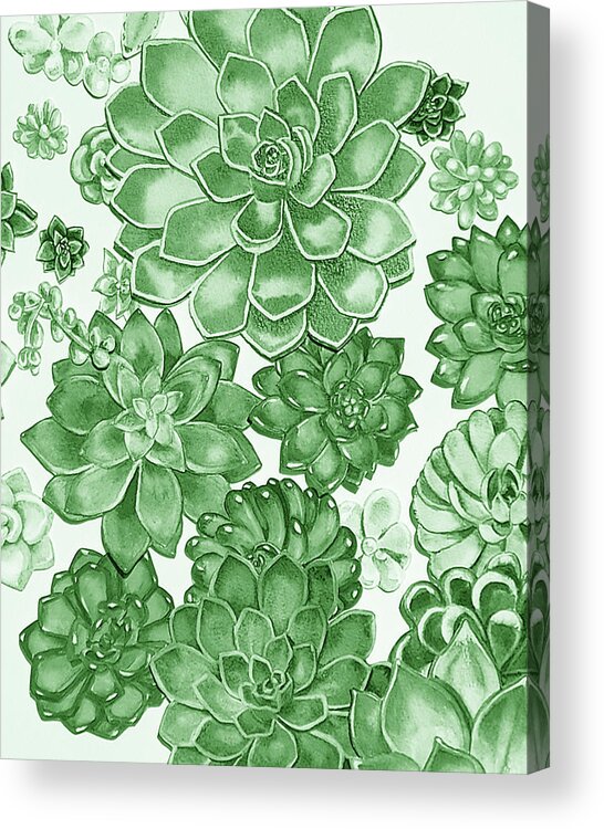 Succulent Acrylic Print featuring the painting Soft Green Succulent Plants Garden Watercolor Interior Art II by Irina Sztukowski