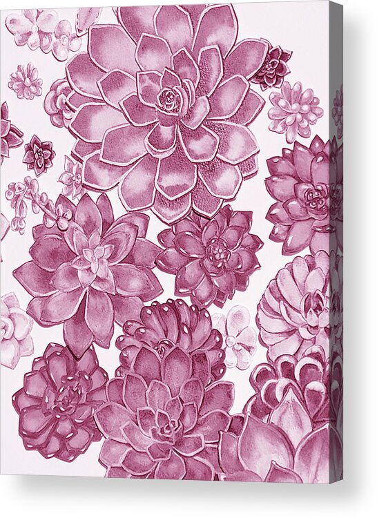 Succulent Acrylic Print featuring the painting Soft Pink Succulent Plants Garden Watercolor Interior Art II by Irina Sztukowski