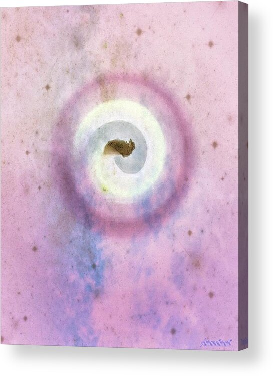 Spiral Acrylic Print featuring the digital art Spiral Original Pink by Auranatura Art