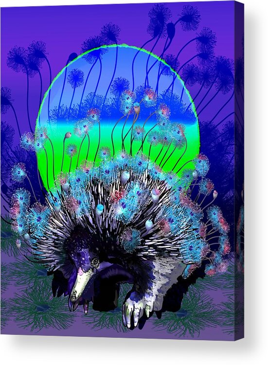 Echidna Acrylic Print featuring the drawing Springtime Evening An Echidna In Bloom by Joan Stratton