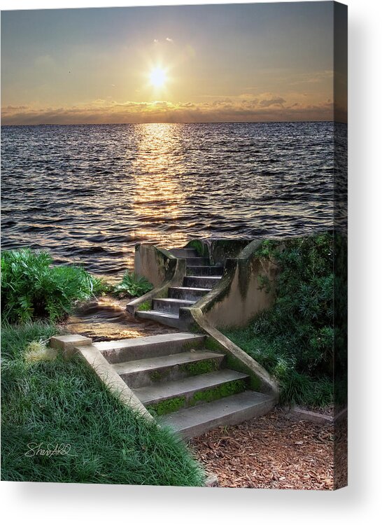 Water Acrylic Print featuring the photograph Stare Into the Sea by Shara Abel