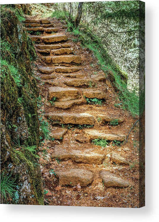 Stairs Acrylic Print featuring the photograph Stone Stairs by Randy Bradley