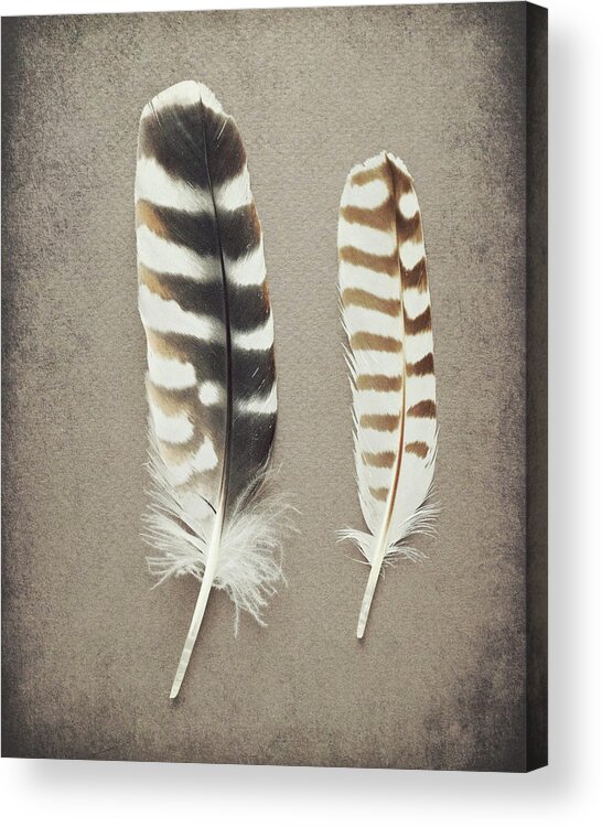 Feathers Acrylic Print featuring the photograph Striped Pair by Lupen Grainne