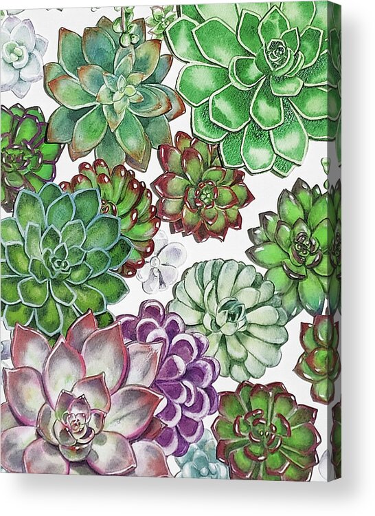 Succulent Acrylic Print featuring the painting Succulent Plants On White Wall Contemporary Garden Design V by Irina Sztukowski