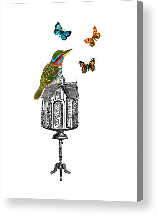 Bird Acrylic Print featuring the digital art Summer Bird by Madame Memento