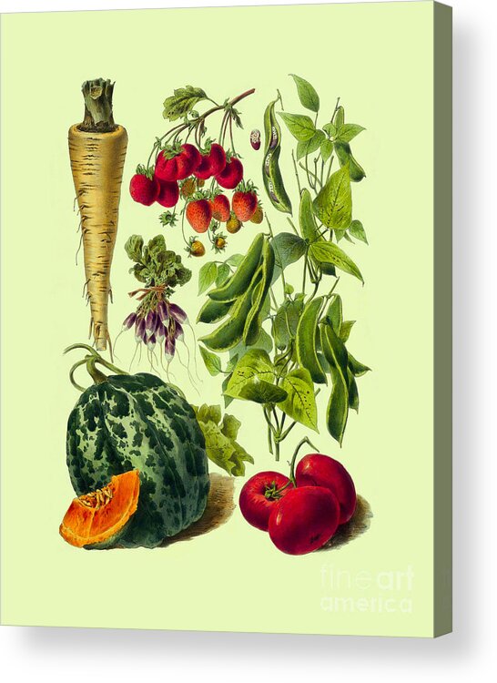 Vegetables Acrylic Print featuring the digital art Summer Garden by Madame Memento