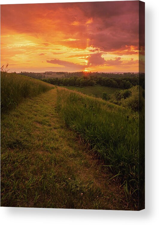 Trexler Acrylic Print featuring the photograph Sunlit Pathway by Jason Fink