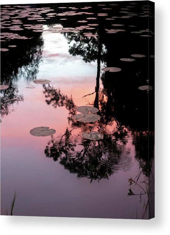 Reflection Acrylic Print featuring the photograph Sunset on a Florida pond by Phil And Karen Rispin