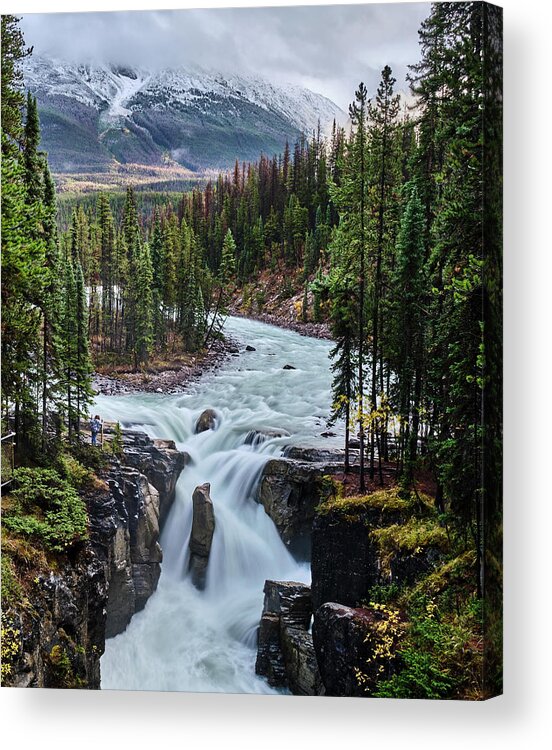 Voyage Jasper Banff 2021 Acrylic Print featuring the photograph Sunwapta Falls Jasper by Carl Marceau