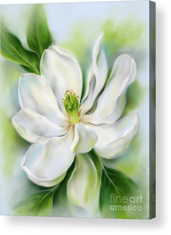 Botanical Acrylic Print featuring the painting Sweet Bay Magnolia by MM Anderson