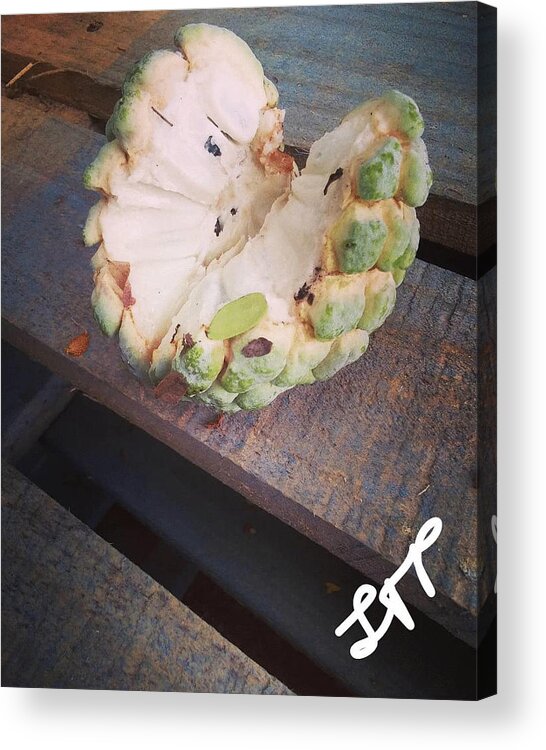 Sugar Acrylic Print featuring the photograph Sweet Like a Sugar Apple by Esoteric Gardens KN