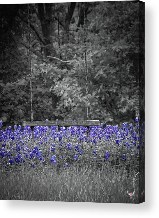 Texas Acrylic Print featuring the photograph Swinging in the Bluebonnets by Pam Rendall