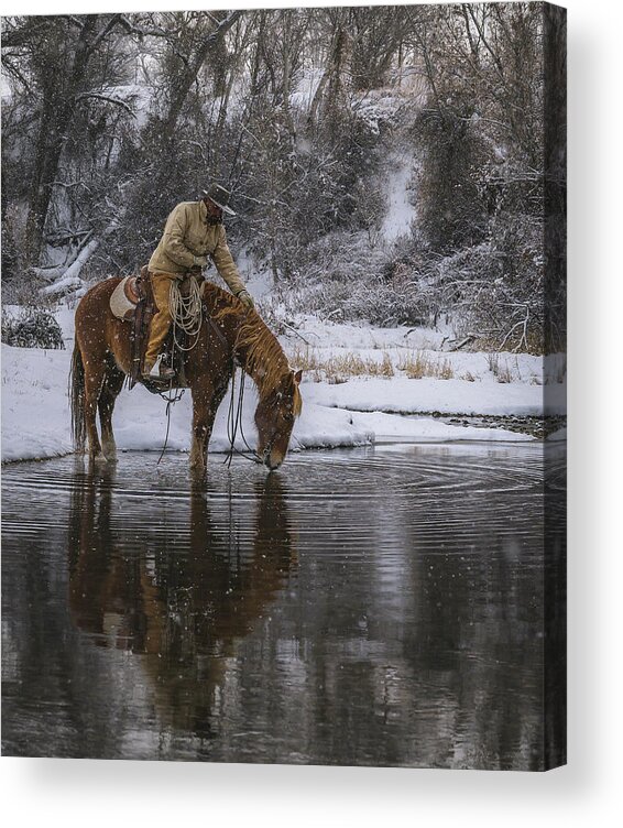 Horse Acrylic Print featuring the photograph Tap the Water by Laura Hedien