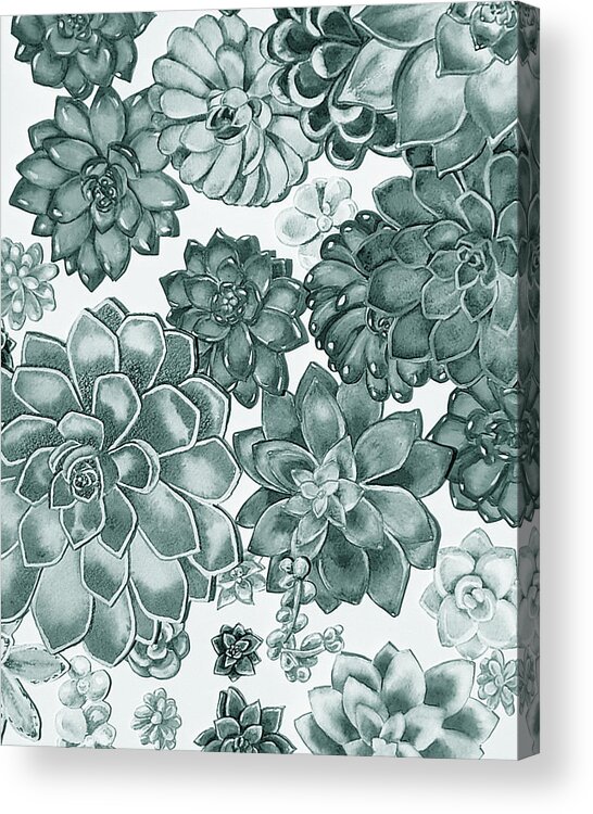 Succulent Acrylic Print featuring the painting Teal Gray Succulent Plants Garden Watercolor Art Decor V by Irina Sztukowski