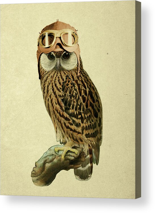 Owl Acrylic Print featuring the digital art The Aviator by Madame Memento