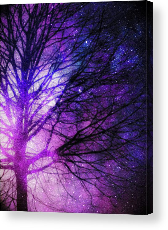 Love Acrylic Print featuring the digital art The Light Tree by Auranatura Art