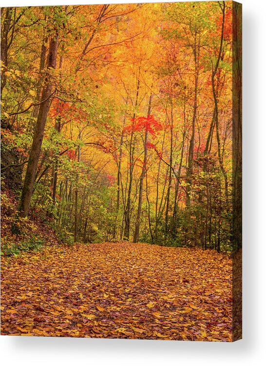 Tremont Acrylic Print featuring the photograph The Path Less traveled by Darrell DeRosia