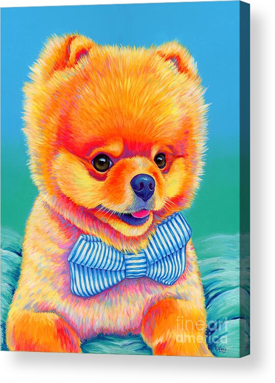 Pomeranian Acrylic Print featuring the painting Theo the Pomeranian by Rebecca Wang