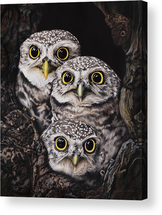 Nikita Coulombe Acrylic Print featuring the painting Three Little Owls by Nikita Coulombe