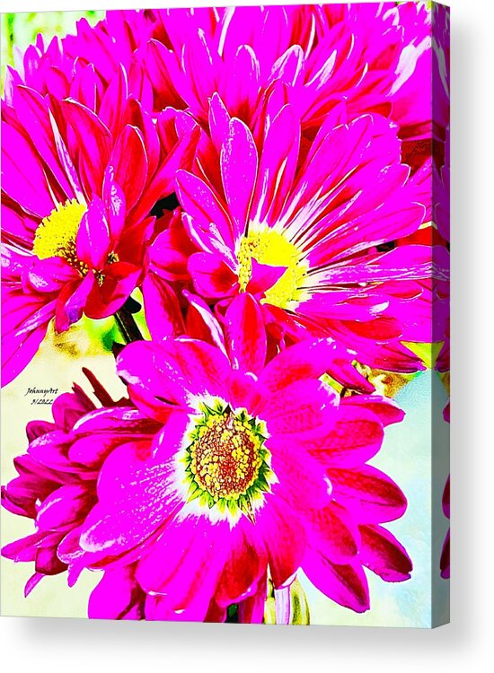 Flowers Acrylic Print featuring the photograph Todays Bouquet by John Anderson