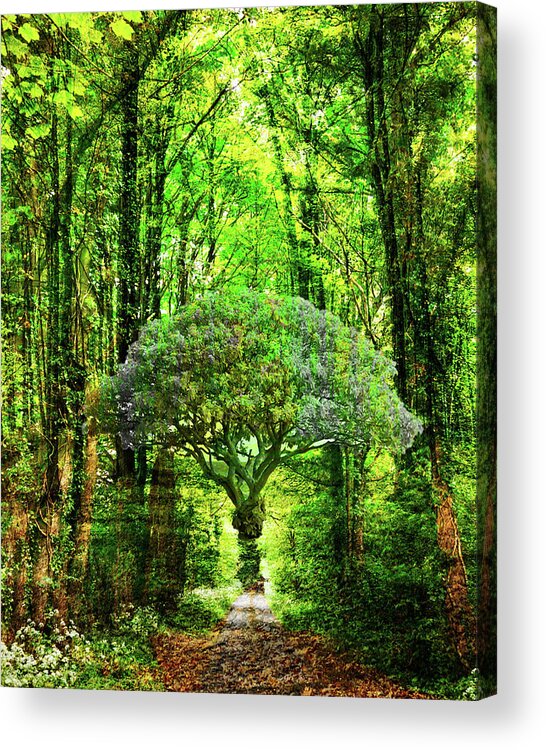 Collage Acrylic Print featuring the digital art Trees by John Vincent Palozzi
