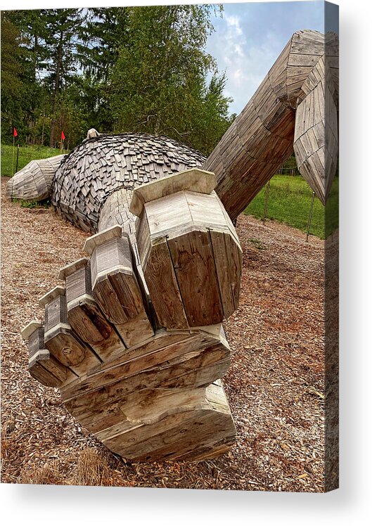 Troll Acrylic Print featuring the photograph Troll in Repose by Kerry Obrist