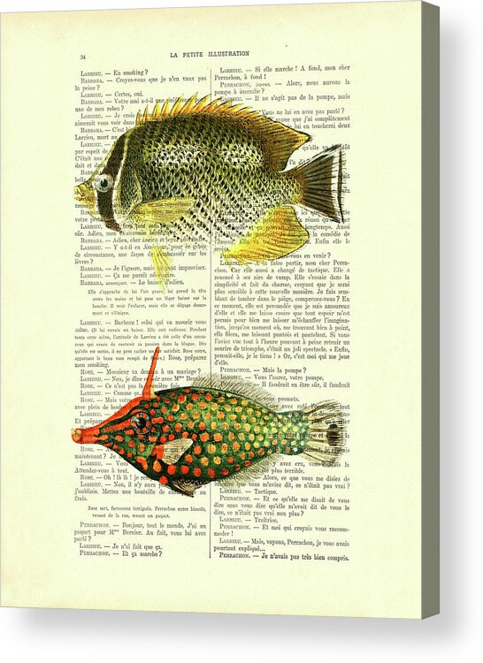 Fish Acrylic Print featuring the digital art Tropical fish species chart by Madame Memento